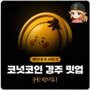 (주)에이엠에이 | 이번 주말, 코퀴즈가 경주에 옵니다! 코넛코인 경주 밋업 소식