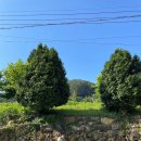 외도약국 이미지