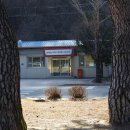 농업기술센터 화령상담소 티스토리