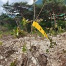 용산-292 이미지