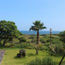 논짓물비치하우스 이미지