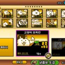에쓰디 이미지