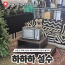 후추추 | 성수역 카페 추천 푸딩이 맛있는 하하하 솔직 후기