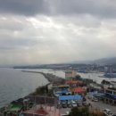 묵호수산 티스토리