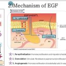 새살약국 이미지