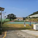 넙도초등학교노화중학교넙도분교장 이미지