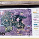 영숙이네