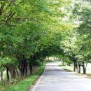 학원농장민박 이미지