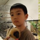 용산2농장 이미지