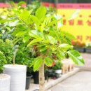 정석그린프라자 이미지