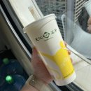 텐런 이미지