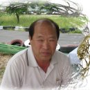 김정조 이미지