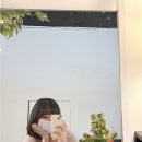 프제 이미지