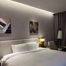 호텔스카이파크 센트럴 서울판교점 | 분당 호텔 스카이파크 센트럴 서울 판교 숙박 후기 무료 룸업그레이드 진행중