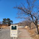 에버마켓 | 겨울 2월 에버랜드 주말 판다월드 바오 세컨하우스 및 포춘마켓 타로 후기