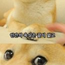 주식회사 준바이오