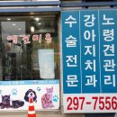서수원동물병원 이미지