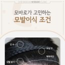 청담모바로의원 이미지