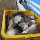 부연낚시터 이미지