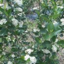 상진농장 이미지