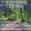 인연 /양애희 詩 (weth Grew) 이미지