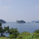 조도 Daum카페