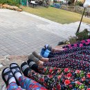 가현정민박 이미지