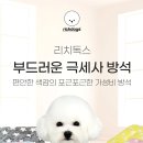 리치켄넬 이미지