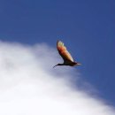 부곡관광안내소 이미지