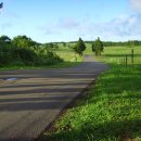 이시돌목장 이미지