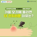 가을 모기에 물리면 더 간지러운 이유는? 이미지