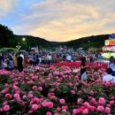 울산대공원 장미축제 2018 이미지