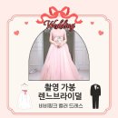 핑크비비 | W12. 드레스 "렌느브라이덜" 계약 - 비비핑크 컬러 드레스 촬영 가봉 후기