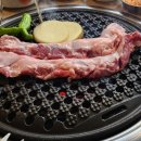 돼지나무 사랑걸렸네 이미지