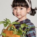 고후나비 이미지