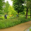 푸른수목원 이미지