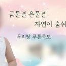 사나앤컷 이미지