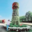 연천-2 이미지