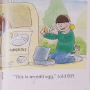 The Odd Egg 이미지