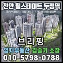 금당수경부동산중개 | 천안 힐스테이트 두정역-브리핑-일잘하는 엄지 부동산