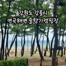 A130 | 강릉 연곡해변솔향기 캠핑장 A130사이트 후기,정보