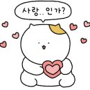 채채네일 이미지