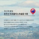 ♥이것이 세일이다♥[로그네이쳐]프로폴리스 스프레이 25ml 이미지