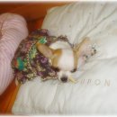 산이랑 바다 이미지