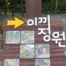 소노펠리체 이끼정원 이미지