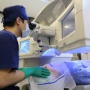 스마일(코인) 이미지