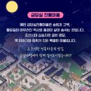 2025 금당야행 이미지