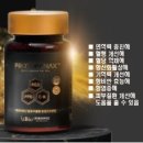 파낙스바이오주식회사 이미지