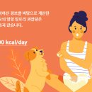 (주)레시펫 | 강아지 사료 추천, 수비드로 만들어 기호성 대박인 레시펫 습식사료