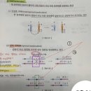 2권 9장 세포분열 p53 염색체 구조이상 전좌 p 57 이수성 돌연변이 이미지